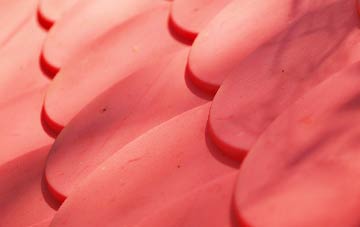 Laddingford plastic roof costs