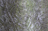 Laddingford fibreglass roof work